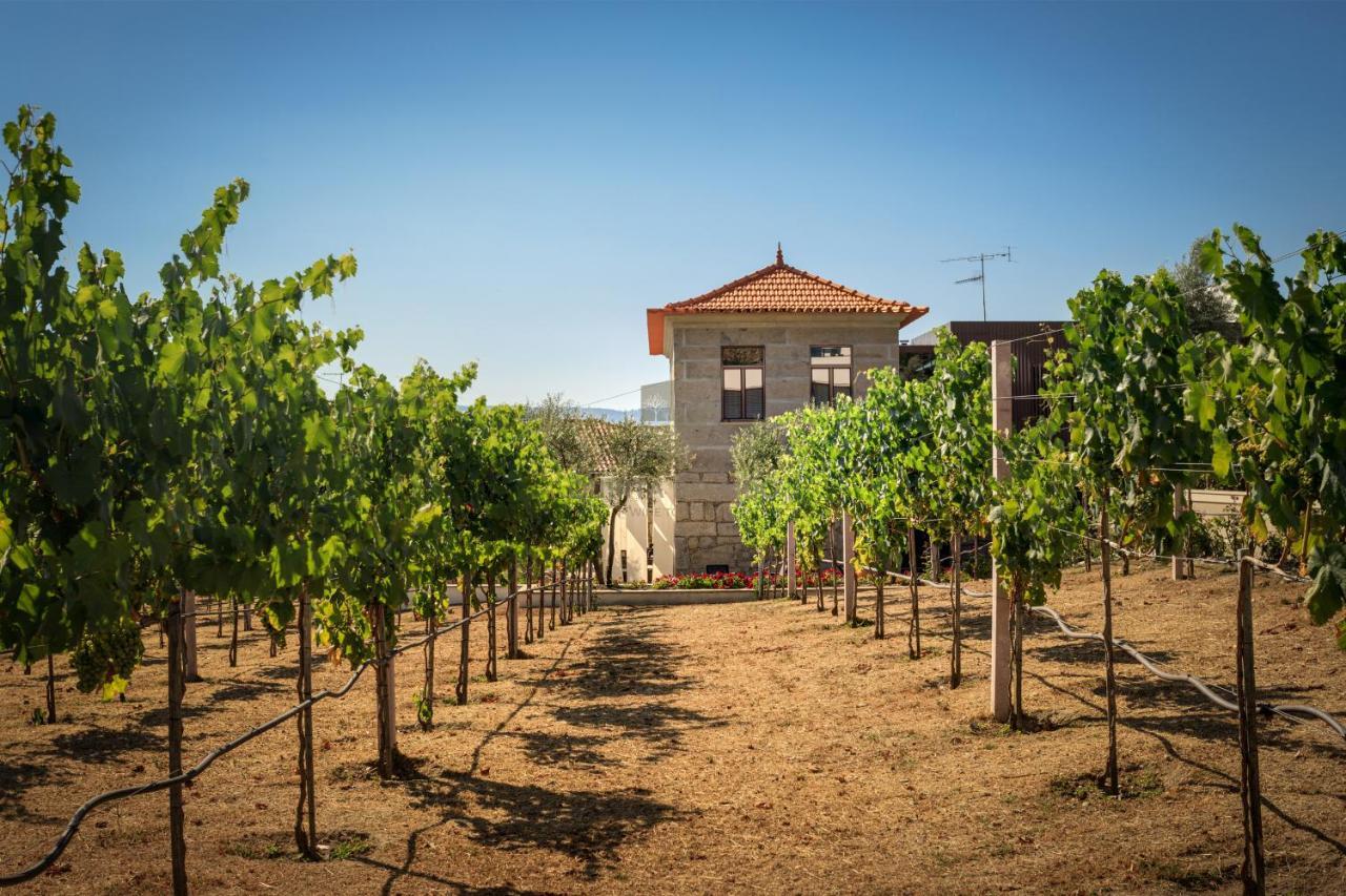 Quinta Do Aido - Winetourism Villa Cinfães Eksteriør billede